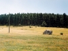 Репляна