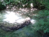 Крушунски водопади